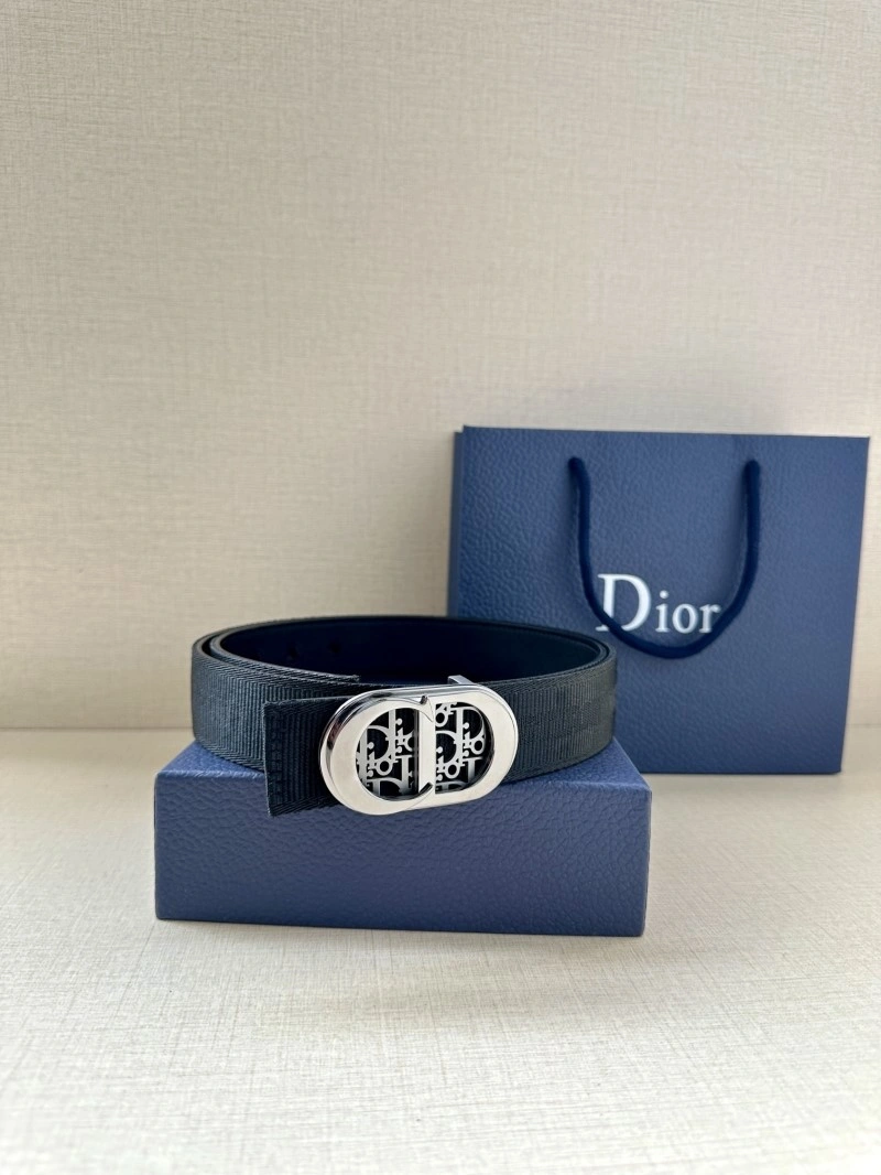 Christian Dior Belts Colorful 285180