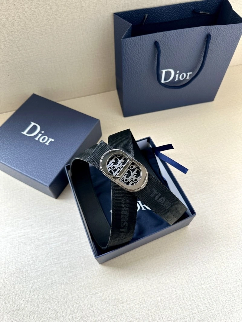 Christian Dior Belts Colorful 285180