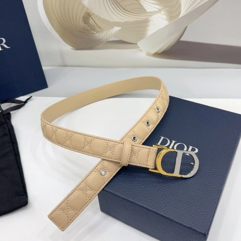 Christian Dior Belts Popular 285165