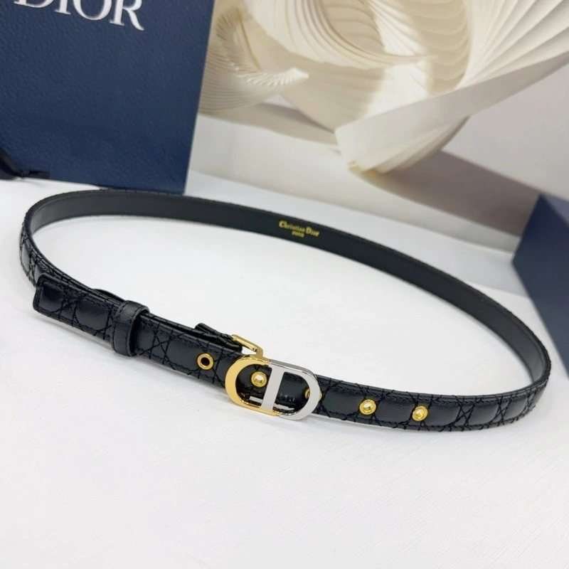 Christian Dior Belts DailyWear 285171