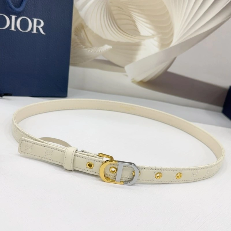 Christian Dior Belts Functional 285164