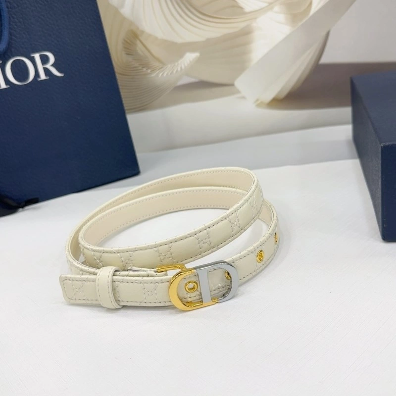 Christian Dior Belts Functional 285164