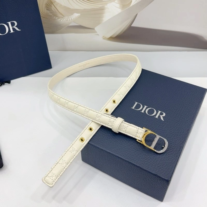 Christian Dior Belts Functional 285164