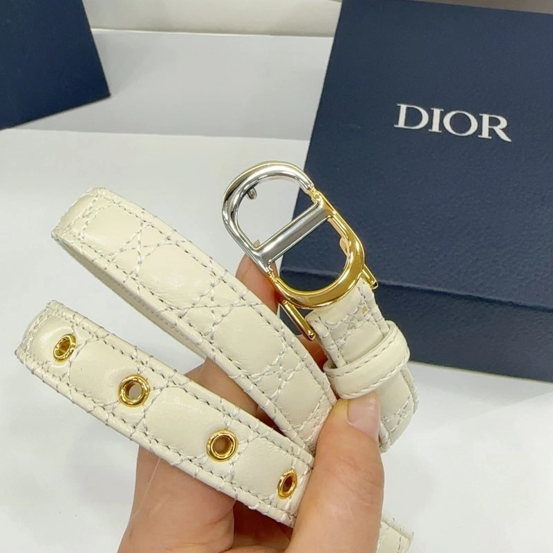 Christian Dior Belts Functional 285164