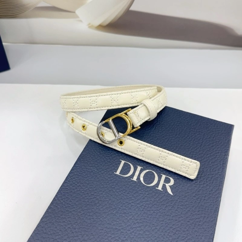 Christian Dior Belts Functional 285164