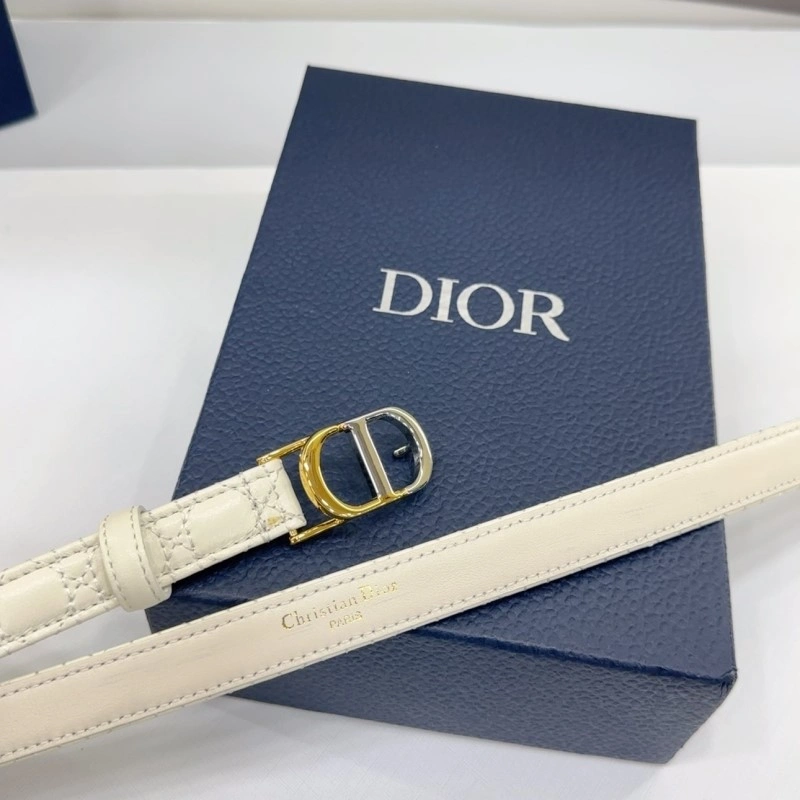 Christian Dior Belts Functional 285164