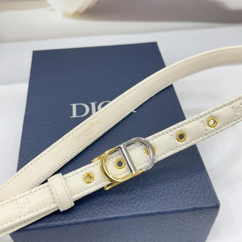 Christian Dior Belts Functional 285164