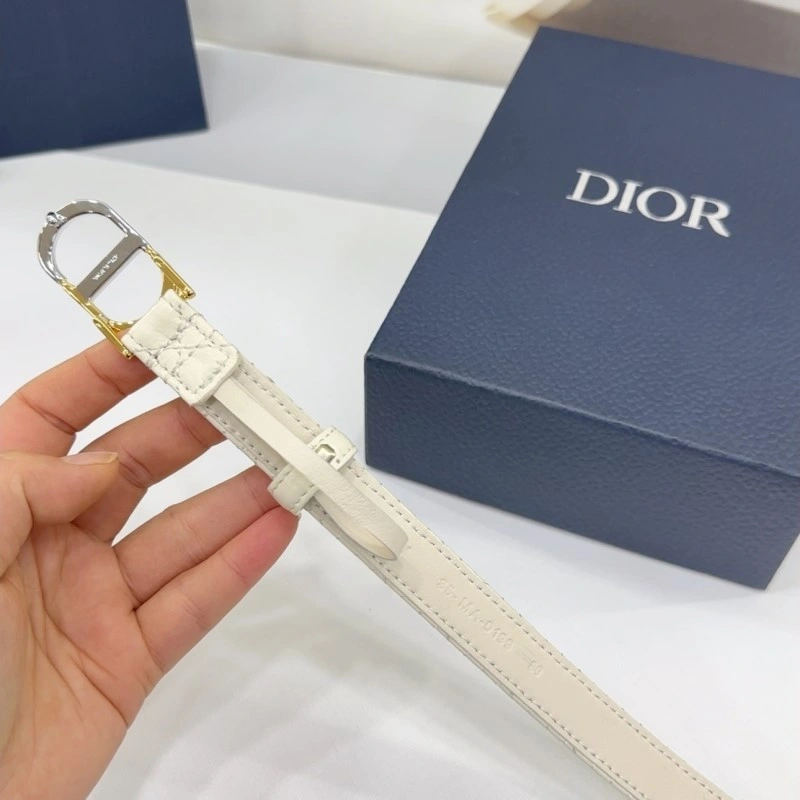 Christian Dior Belts Functional 285164