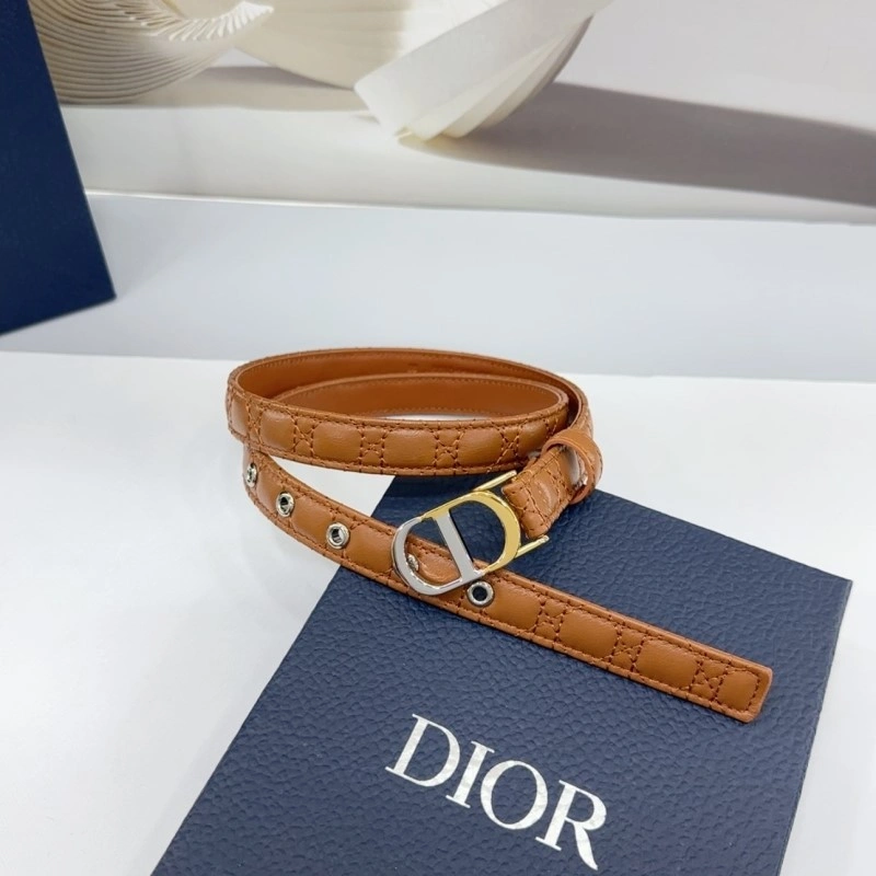 Neat Christian Dior Belts 285163