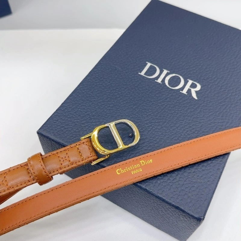 Neat Christian Dior Belts 285163