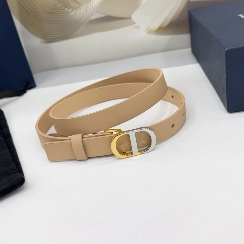 AllSeason Christian Dior Belts 285130