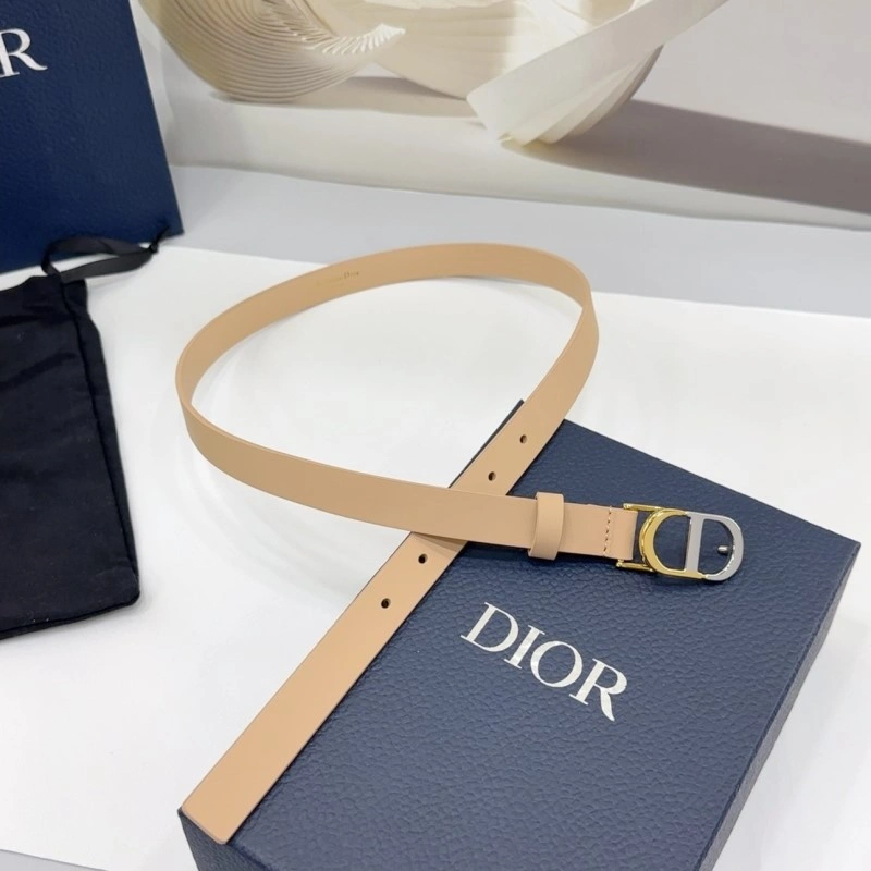 AllSeason Christian Dior Belts 285130