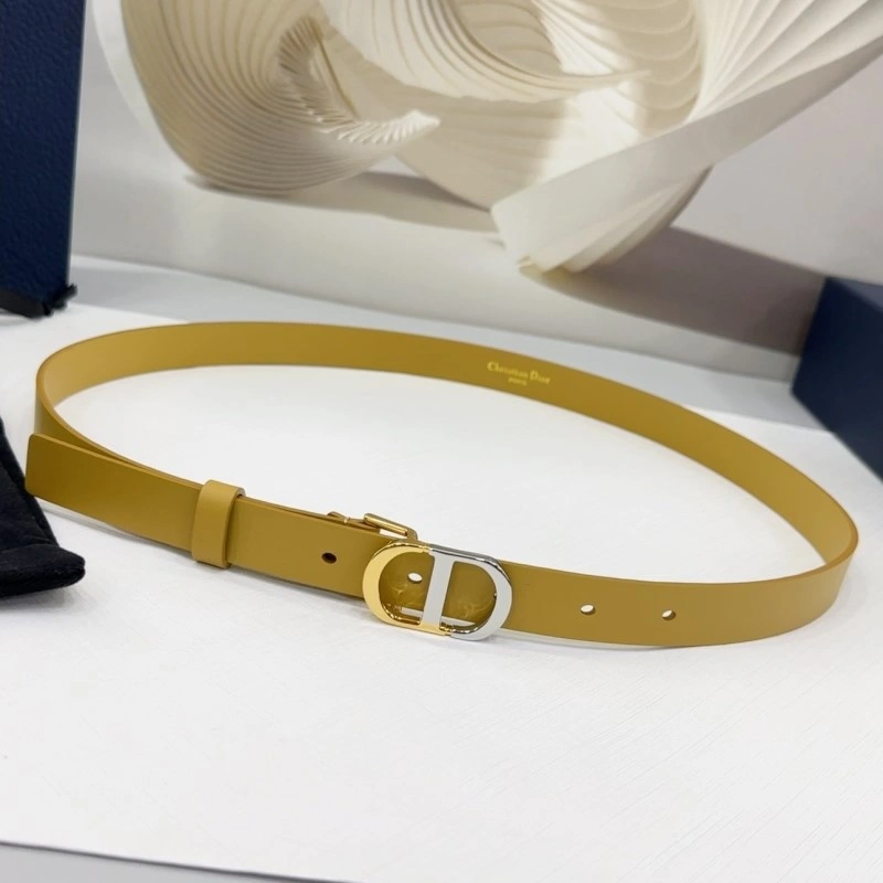 Christian Dior Belts AllSeason 285159