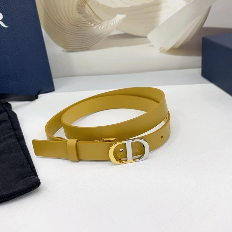 Christian Dior Belts AllSeason 285159
