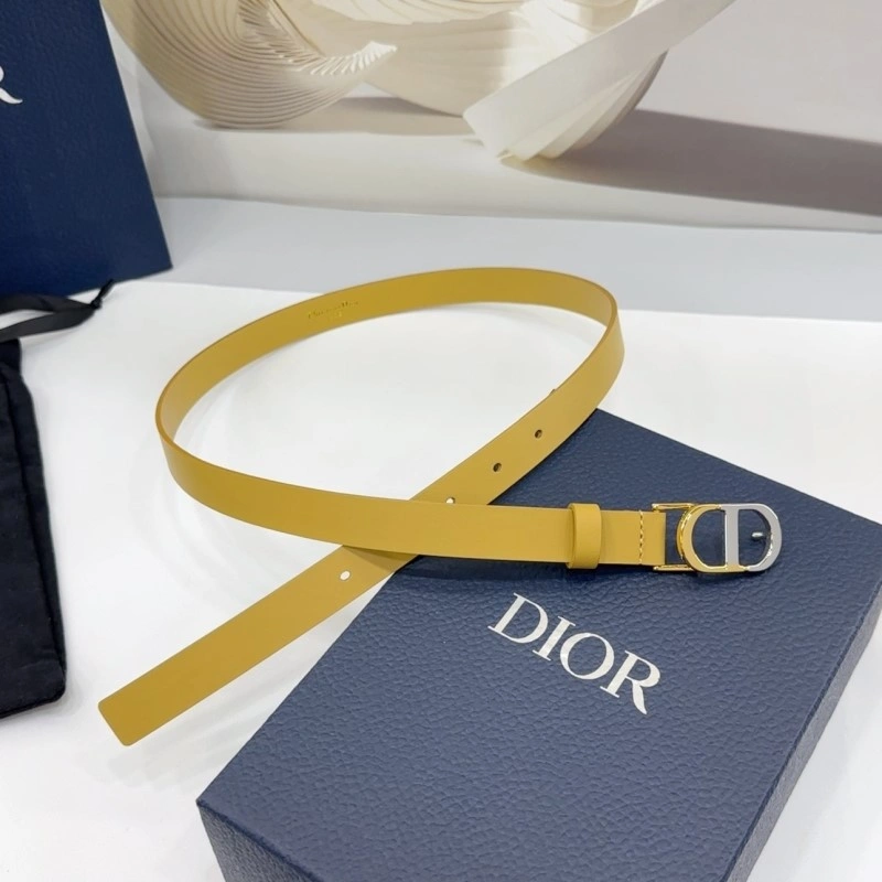 Christian Dior Belts AllSeason 285159