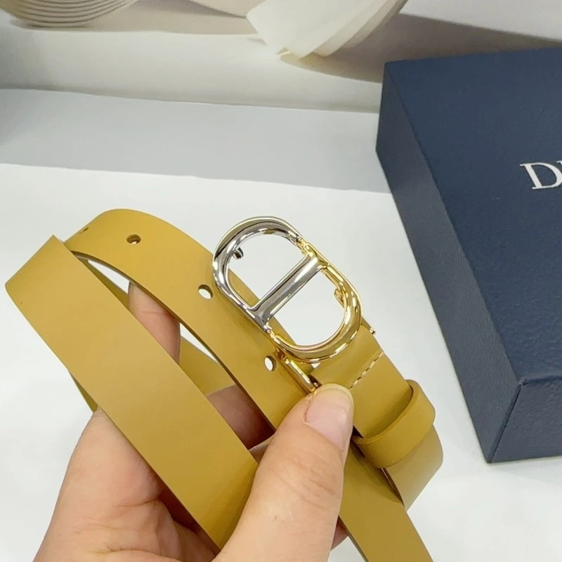Christian Dior Belts AllSeason 285159