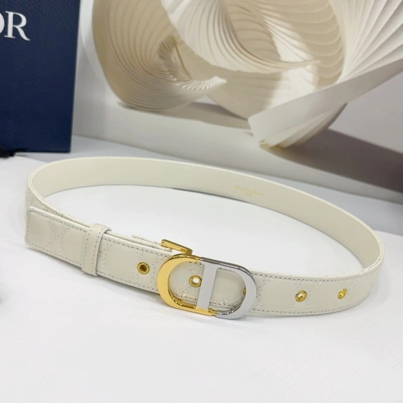 WaterResistant Christian Dior Belts 285132