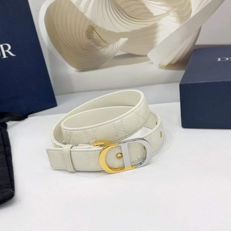 WaterResistant Christian Dior Belts 285132
