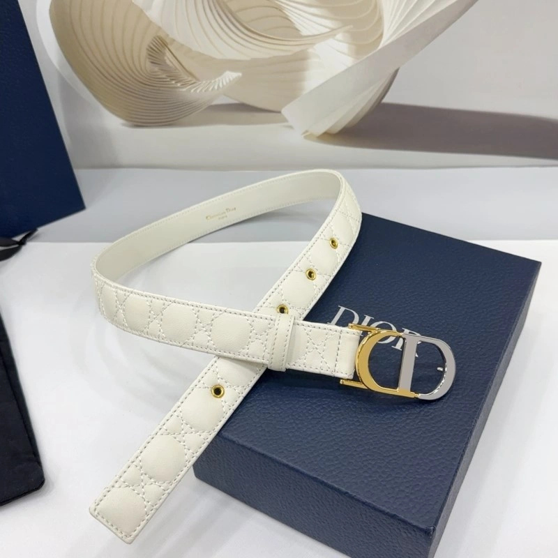 WaterResistant Christian Dior Belts 285132