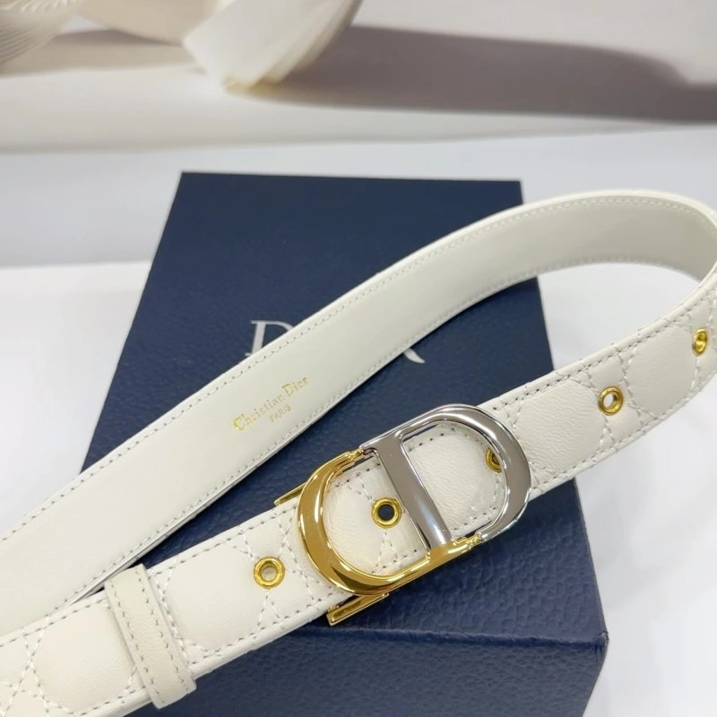 WaterResistant Christian Dior Belts 285132