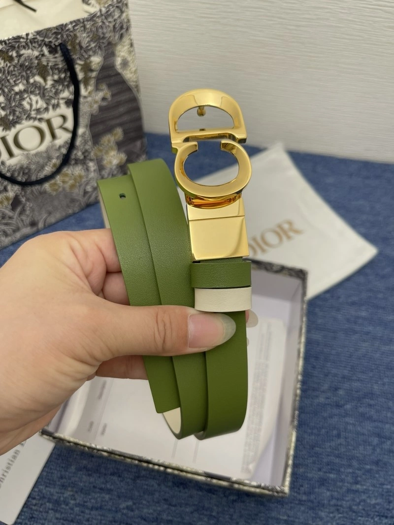 WrinkleFree Christian Dior Belts 285140