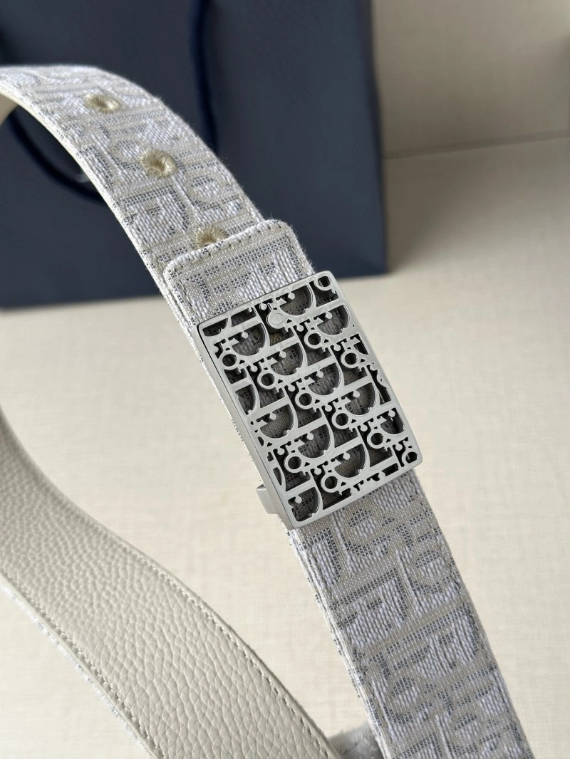 Christian Dior Belts SmoothTexture 285158