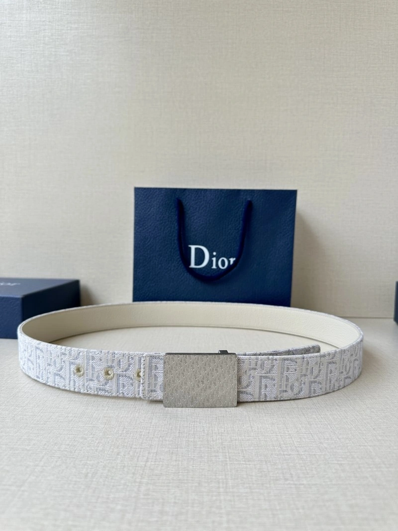 StreetReady Christian Dior Belts 285114