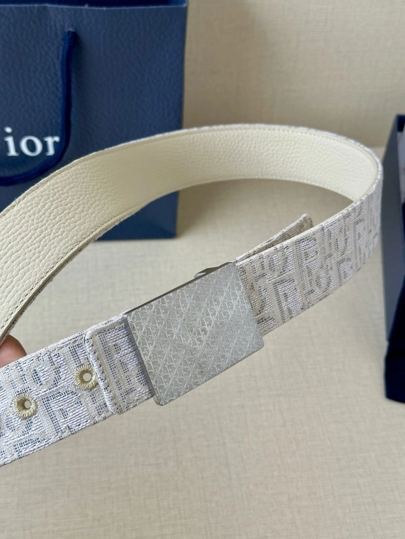StreetReady Christian Dior Belts 285114