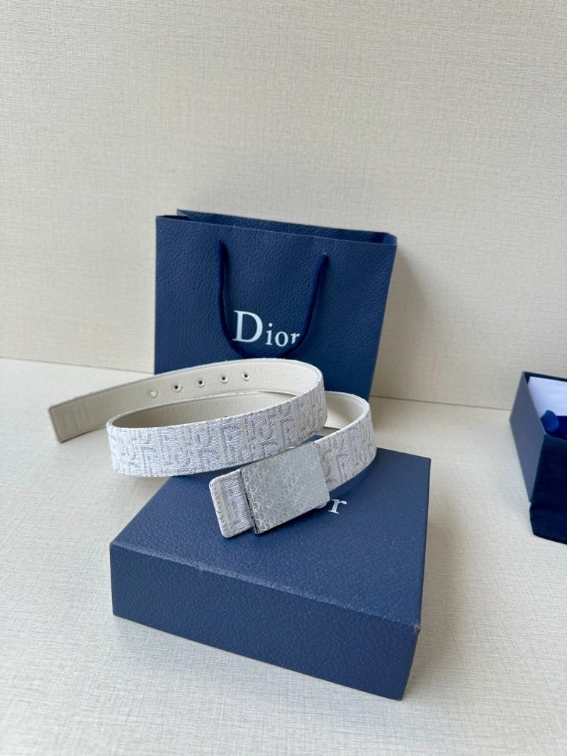 StreetReady Christian Dior Belts 285114