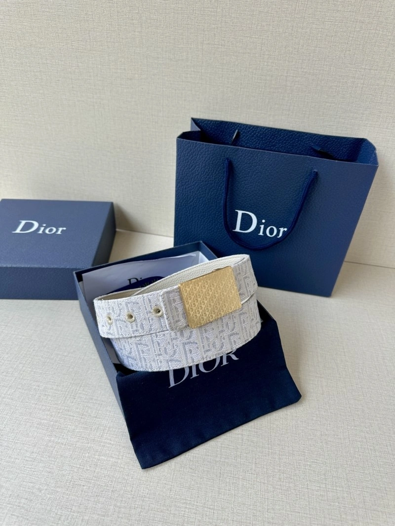 StreetReady Christian Dior Belts 285114