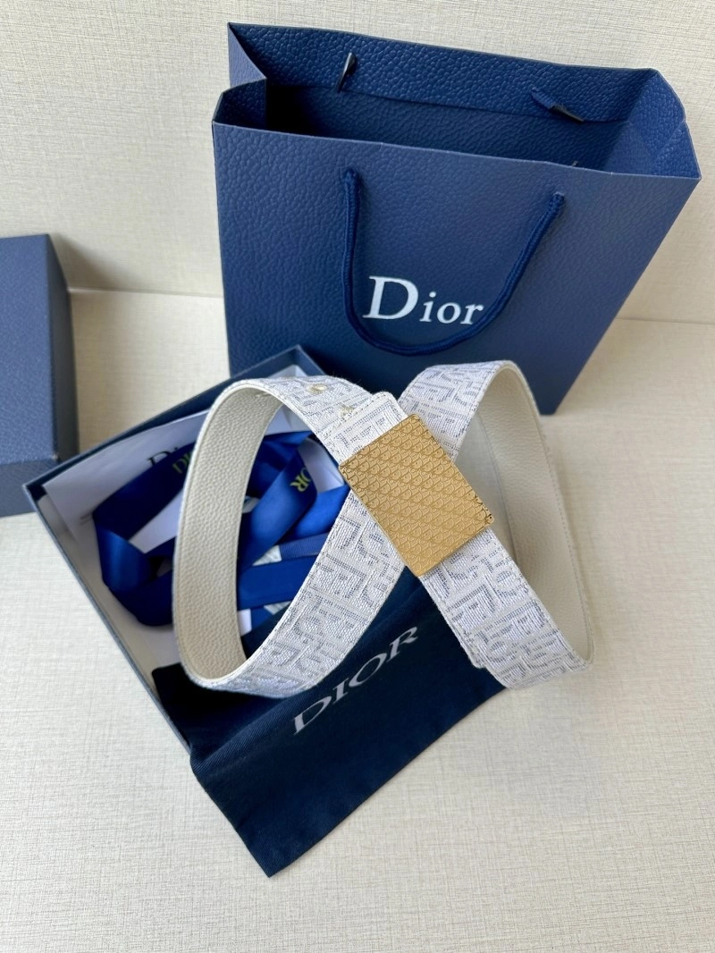 StreetReady Christian Dior Belts 285114