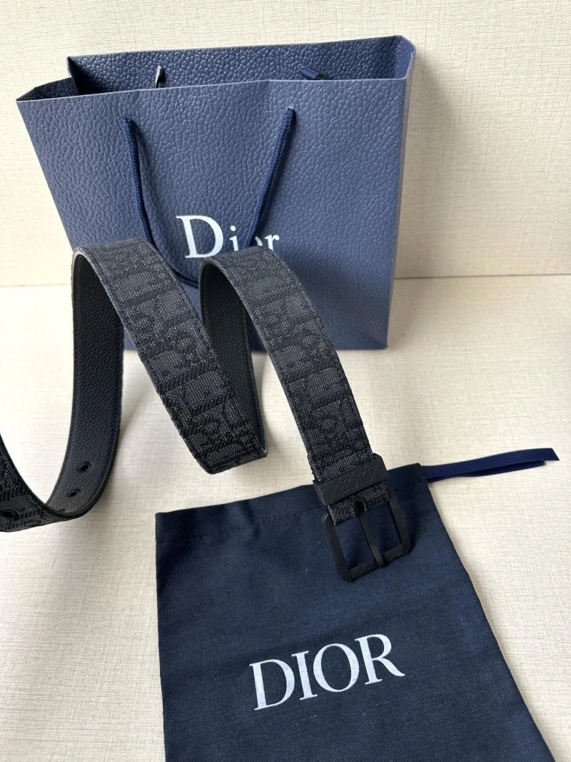 Christian Dior Belts Colorful 285087