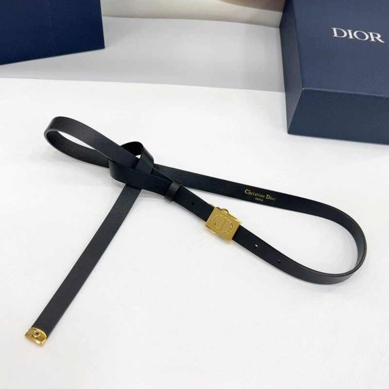 Christian Dior Belts Breathable 285079