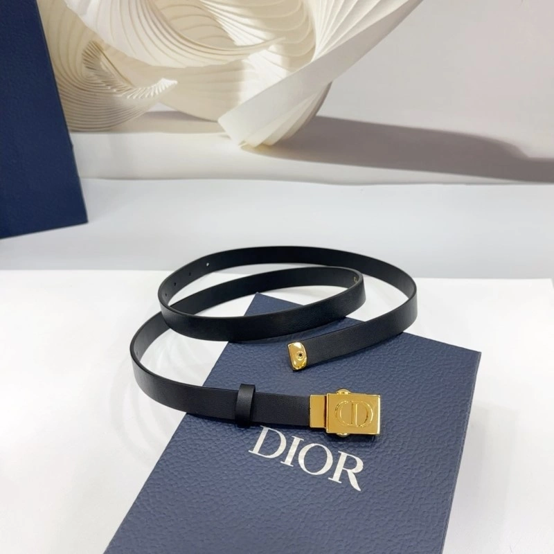 Christian Dior Belts Breathable 285079