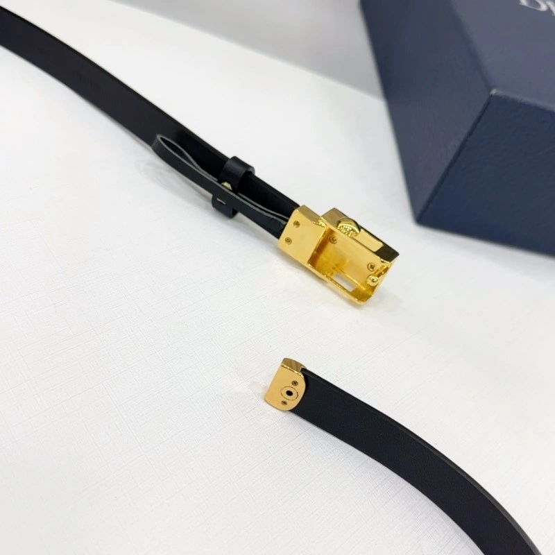 Christian Dior Belts Breathable 285079