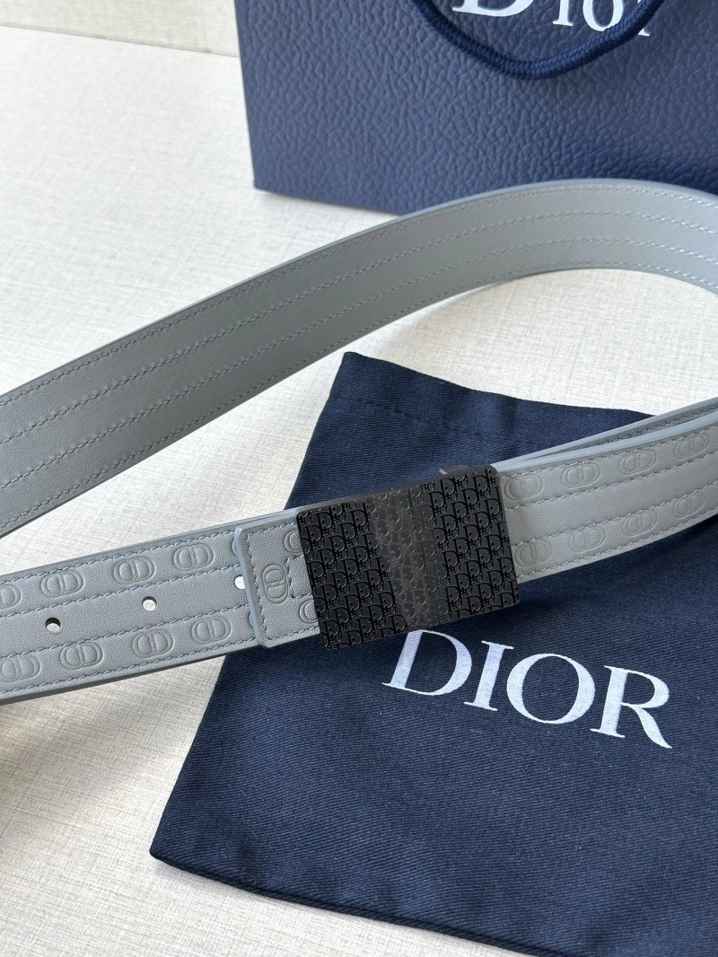 Cozy Christian Dior Belts 285063