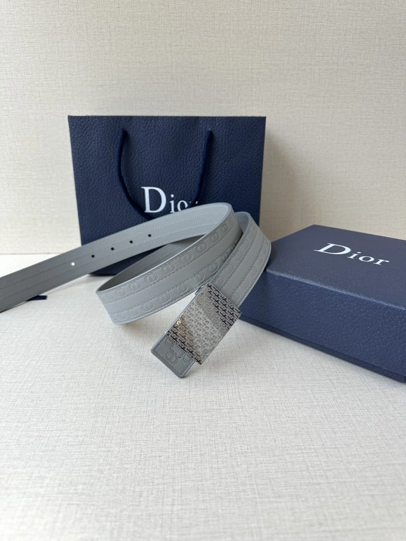 Cozy Christian Dior Belts 285063