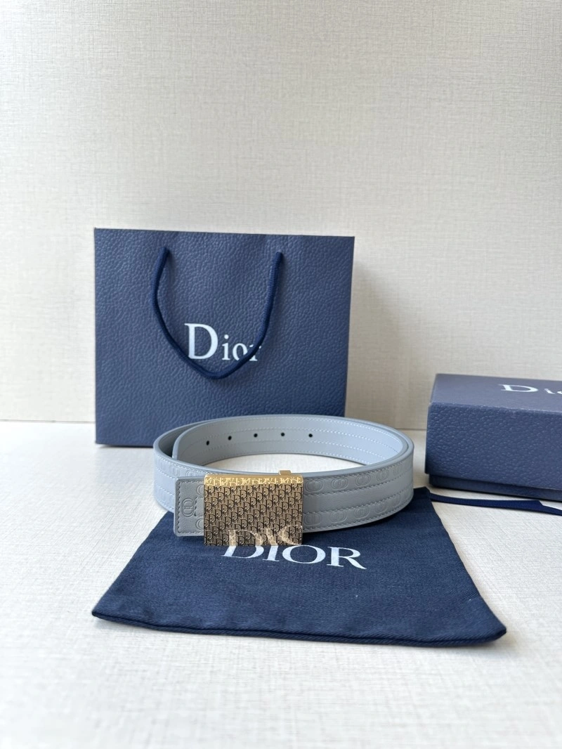 Cozy Christian Dior Belts 285063