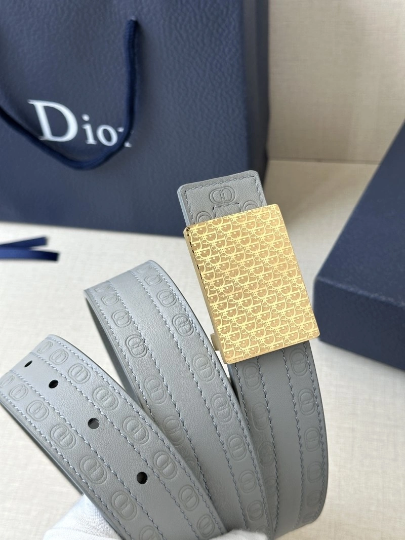 Cozy Christian Dior Belts 285063