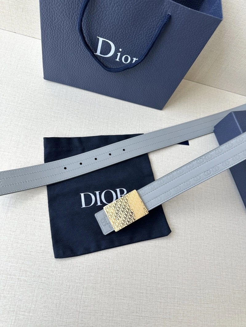 Cozy Christian Dior Belts 285063