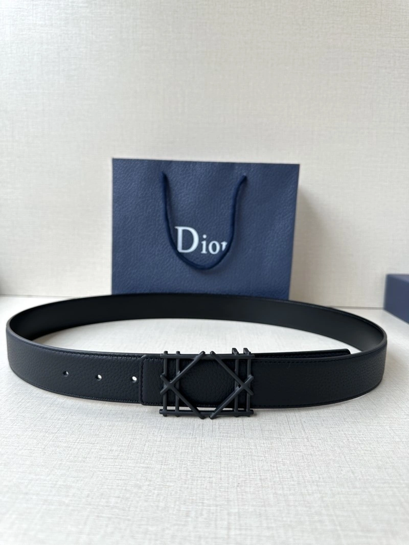 Christian Dior Belts WeatherProof 285050