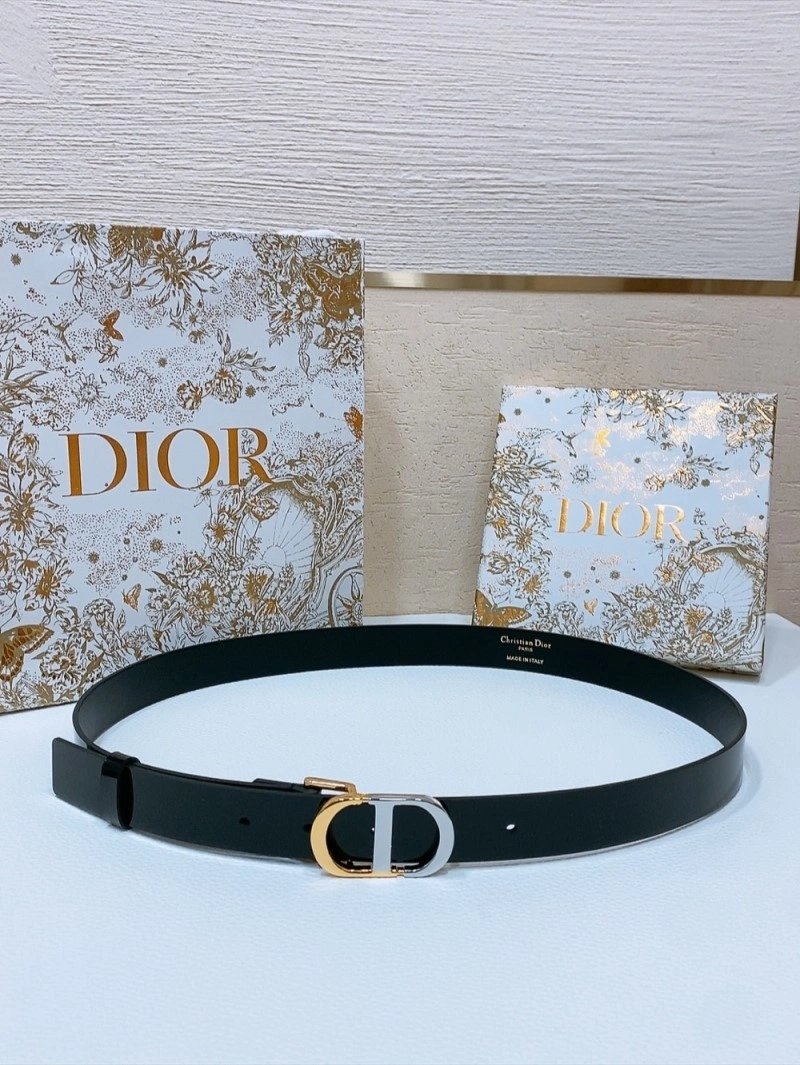 SmoothTexture Christian Dior Belts 285064