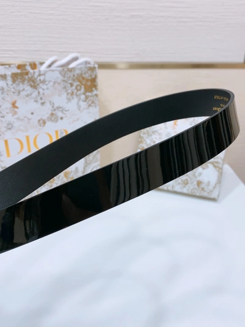 SmoothTexture Christian Dior Belts 285064