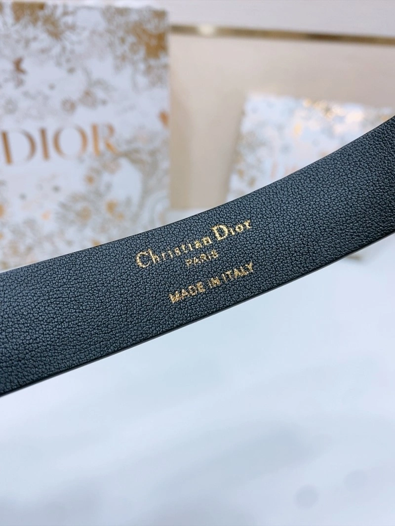 SmoothTexture Christian Dior Belts 285064