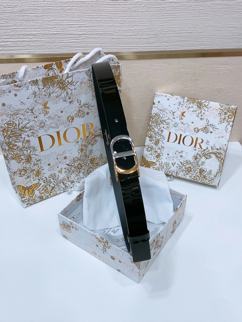 SmoothTexture Christian Dior Belts 285064