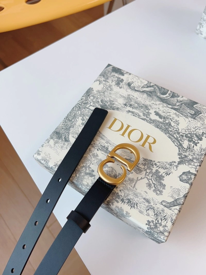 Practical Christian Dior Belts 285045