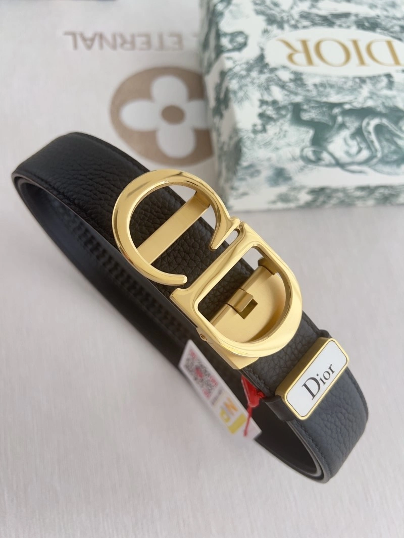 ZipUp Christian Dior Belts 285025