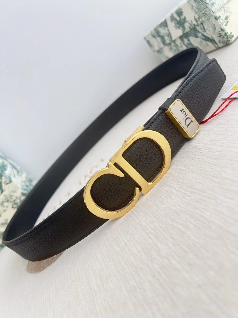 ZipUp Christian Dior Belts 285025