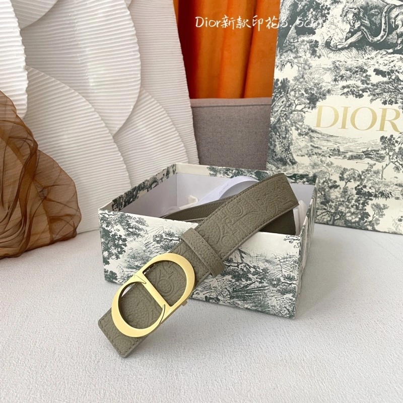 Christian Dior Belts AllSeason 285005