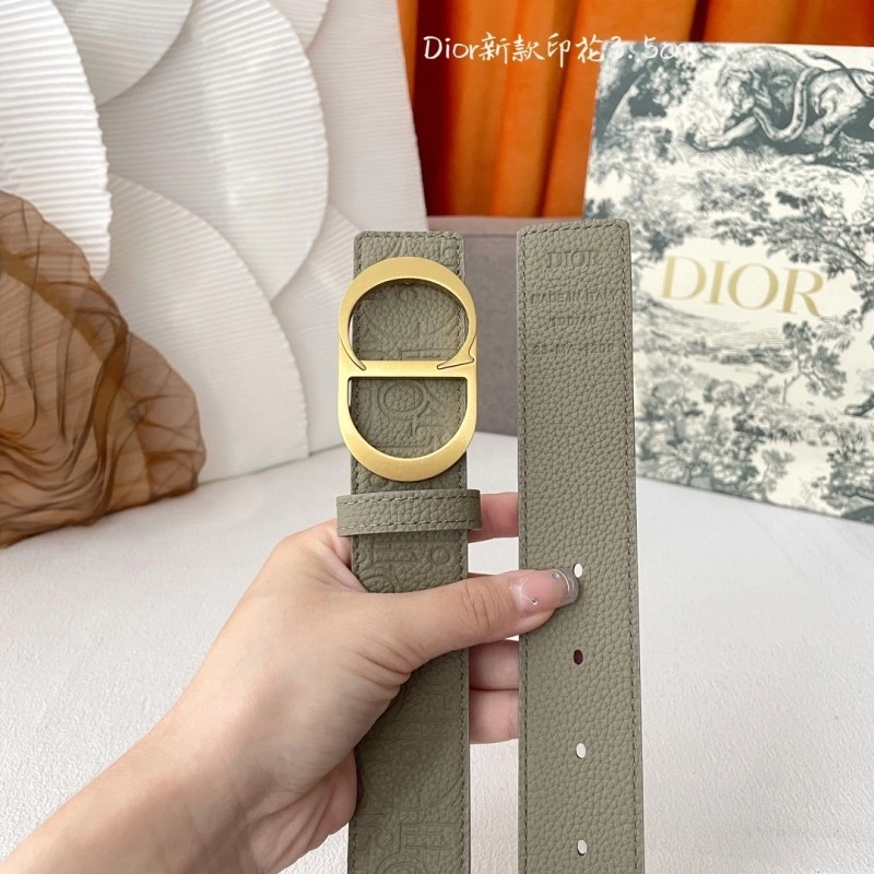 Christian Dior Belts AllSeason 285005